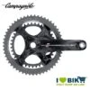 Guarnitura Campagnolo RECORD 11v Ultra-Torque Carbon Bike Store -Shiknog Negozio guarnitura record 11v ultra torque carbon online shop