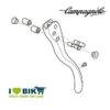 Ricambio Bici Corsa Leva Destra CHORUS 11v EC-CH847 Online Shop -Shiknog Negozio ricambio leva destra chorus 11v ec ch847 online store