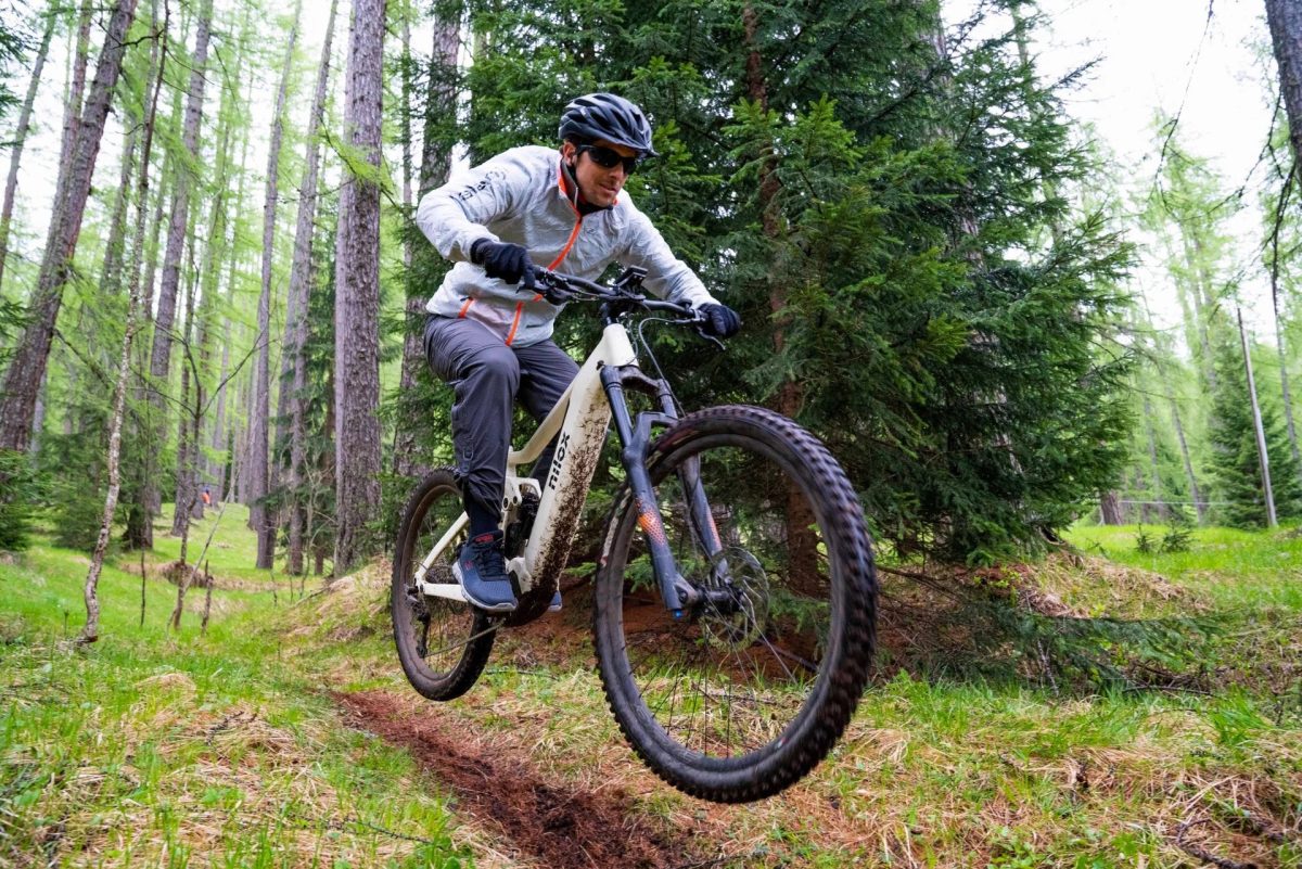 Shiknog Negozio -Shiknog Negozio 1099254