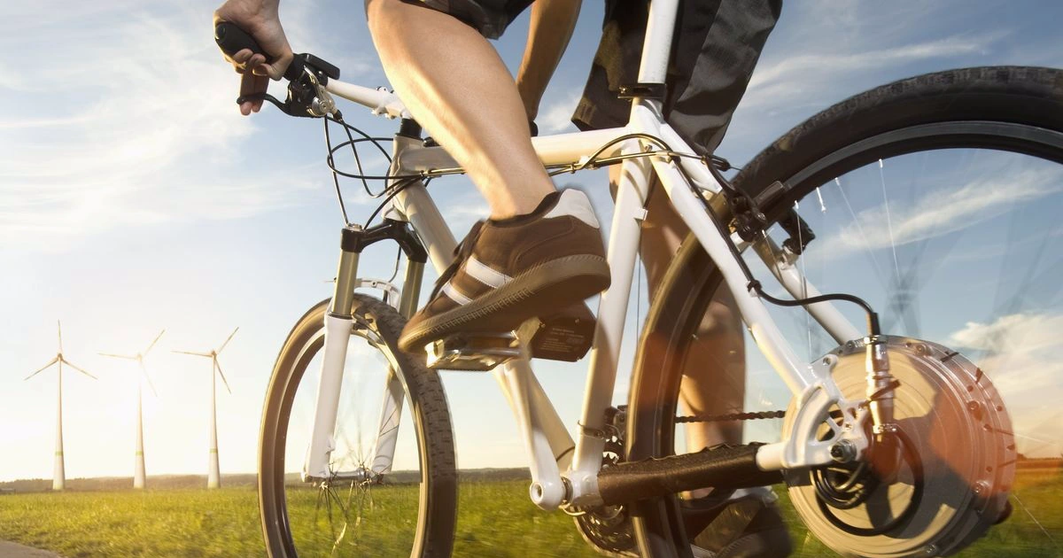 Shiknog Negozio -Shiknog Negozio dapxe crop 1717165090320